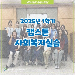 2025년 1학기 캡스톤실습 